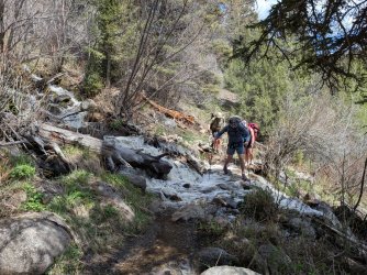 PXL_20250510_205538885.jpg PXL_20250510_205538885.jpg