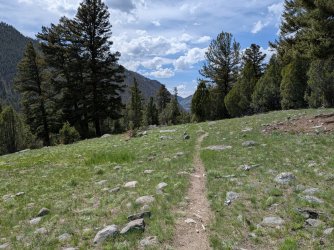 PXL_20250510_211053461.MP.jpg PXL_20250510_211053461.MP.jpg