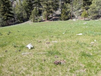 PXL_20250510_211414839.jpg PXL_20250510_211414839.jpg