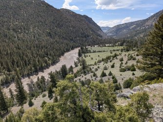 PXL_20250510_212459437.jpg PXL_20250510_212459437.jpg