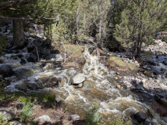 PXL_20250510_213743747.MP.jpg PXL_20250510_213743747.MP.jpg