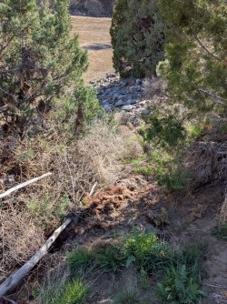 PXL_20250510_232350179.jpg PXL_20250510_232350179.jpg