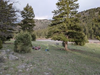 PXL_20250511_014323510.jpg PXL_20250511_014323510.jpg