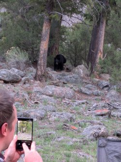 PXL_20250511_021139131.jpg PXL_20250511_021139131.jpg