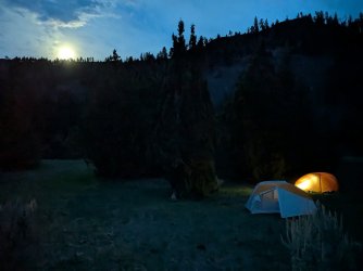 PXL_20250511_032917010.NIGHT.jpg PXL_20250511_032917010.NIGHT.jpg