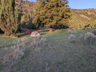 PXL_20250511_124135583.jpg PXL_20250511_124135583.jpg