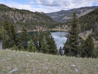 PXL_20250511_151418824.jpg PXL_20250511_151418824.jpg