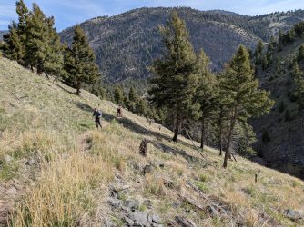 PXL_20250511_153834828.jpg PXL_20250511_153834828.jpg