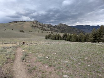 PXL_20250511_162529935.jpg PXL_20250511_162529935.jpg