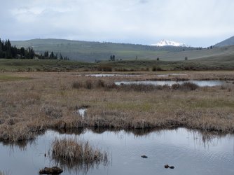 PXL_20250511_170318734.jpg PXL_20250511_170318734.jpg