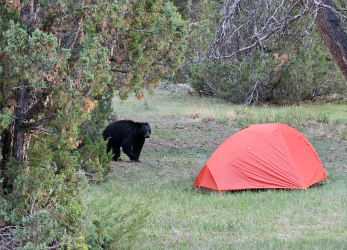 1747501239400.png 1747501239400.png