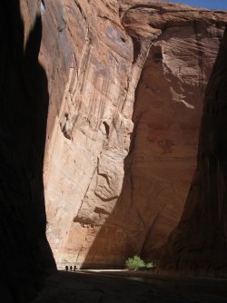 IMG_8244.JPG