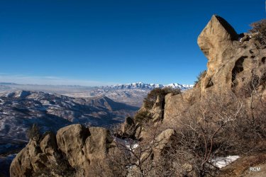 _DSC7920.jpg