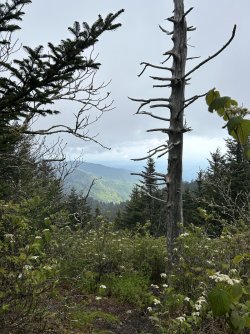 IMG_0153.jpeg IMG_0153.jpeg