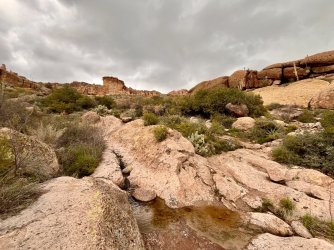 IMG_9809.JPG