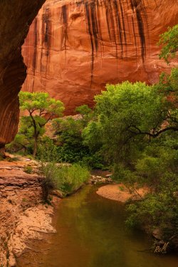 Escalante 05-2025-06280.jpg