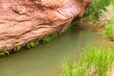 Escalante 05-2025-06286.jpg