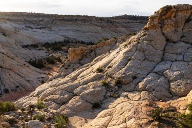 Escalante 05-2025-06431.jpg