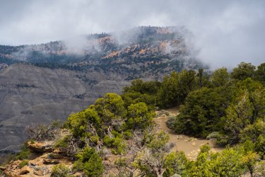 Escalante 05-2025-06472.jpg