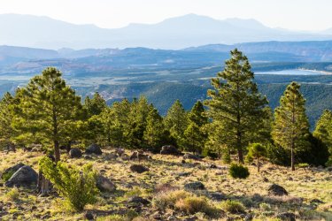 Escalante 05-2025-06132.jpg