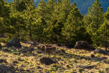 Escalante 05-2025-06134.jpg