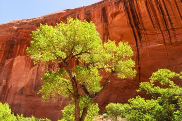 Escalante 05-2025-06192.jpg