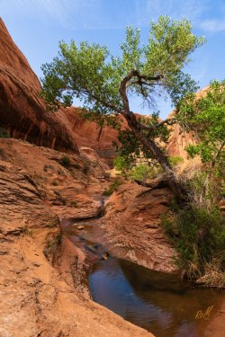 Escalante 05-2025-06325.jpg