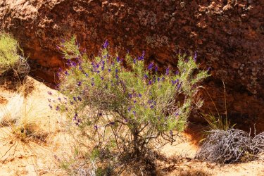 Escalante 05-2025-06139.jpg