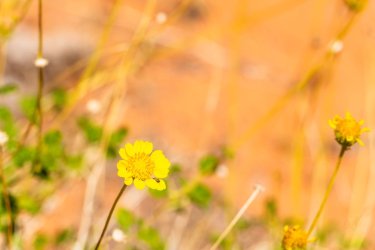 Escalante 05-2025-06148.jpg