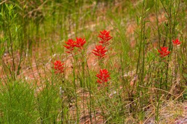 Escalante 05-2025-06265.jpg