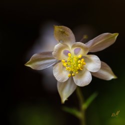 Escalante 05-2025-06285.jpg