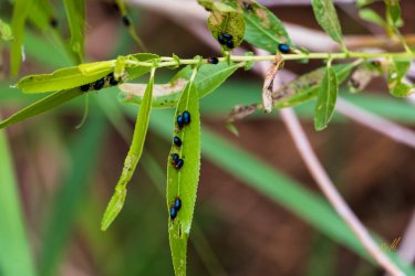 Escalante 05-2025-06301.jpg