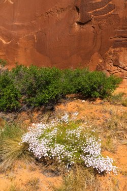 Escalante 05-2025-06359.jpg