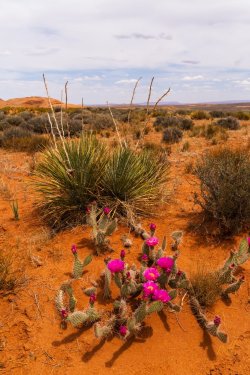Escalante 05-2025-06403.jpg