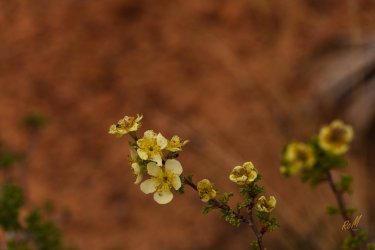 Escalante 05-2025-06406.jpg