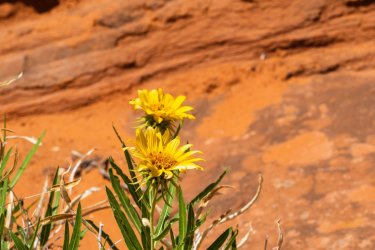 Escalante 05-2025-06380.jpg