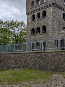 PXL_20250525_200557654_Large.jpg