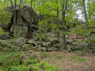 PXL_20250525_201213795_Large.jpg