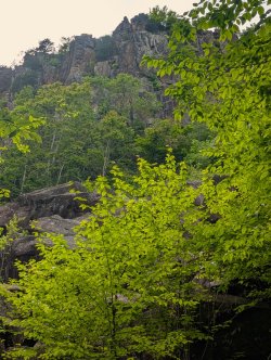 PXL_20250525_202937037_Large.jpg