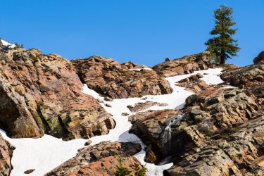 Blanche 5-2025-06546.jpg