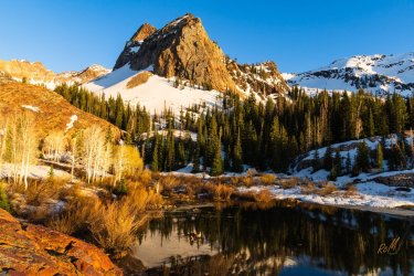 Blanche 5-2025-06616.jpg