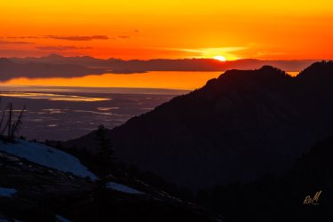 Blanche 5-2025-06694.jpg