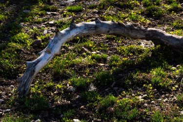 Blanche 5-2025-06712.jpg