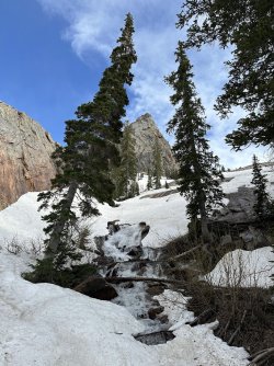 IMG_2487.jpg