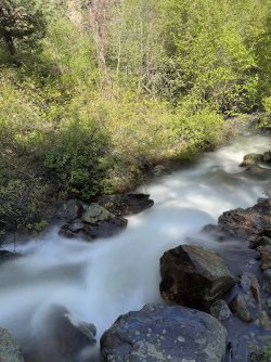 IMG_2561.jpg