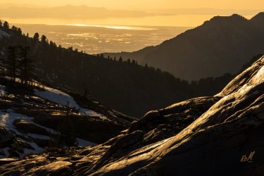 Blanche 5-2025-06592.jpg