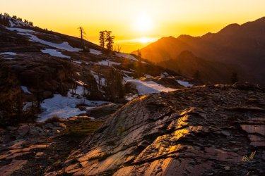 Blanche 5-2025-06652.jpg