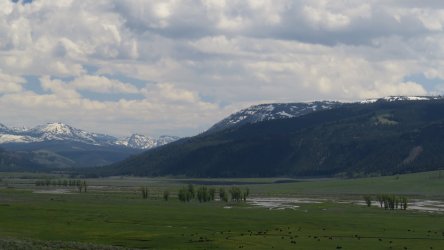 IMG_1594.JPG