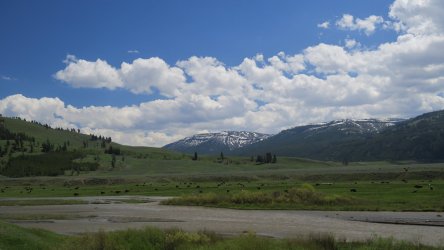 IMG_1598.JPG