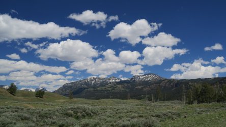IMG_1601.JPG